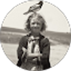 Profile photo of Stefin Mccargar