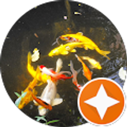 Profile photo of Susan Graves