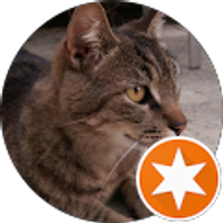 Profile photo of Alec Ching