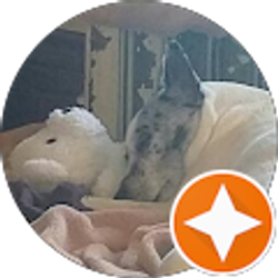 Profile photo of Paige Lewis