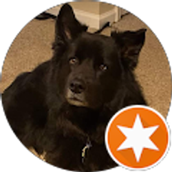 Profile photo of Star Fuentes