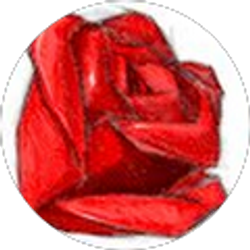 Profile photo of Kirenia Romero