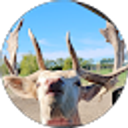 Profile photo of Susan Davies