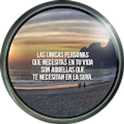 Profile photo of luis dalmasi