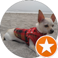 Profile photo of Oscar Godoy