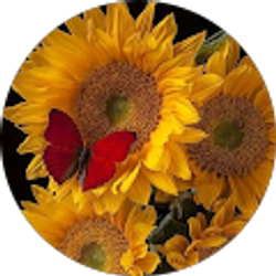 Profile photo of Tatiana Avila Nieto