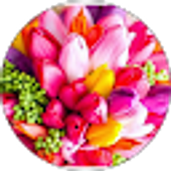 Profile photo of April Gargus