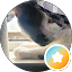 Profile photo of The Truth & Nothing But The Truth