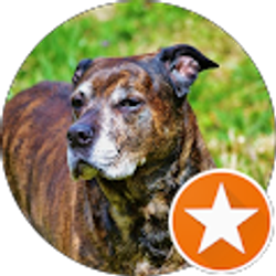 Profile photo of Apple Betty