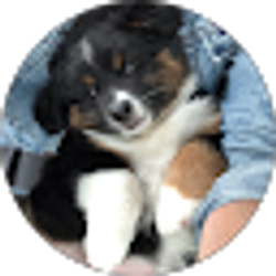 Profile photo of Tony T