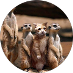 Profile photo of Jessie Ellis