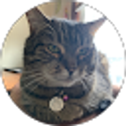 Profile photo of Kaitlyn Swinehart