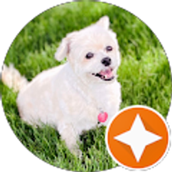 Profile photo of Ms. Bolden