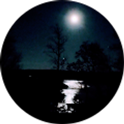 Profile photo of Amy Young