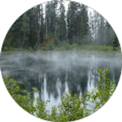 Profile photo of Freddie Harrison