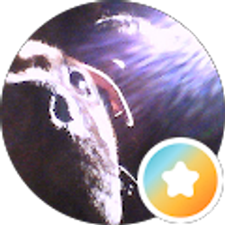 Profile photo of Cori