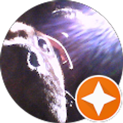 Profile photo of Cori