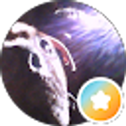 Profile photo of Cori