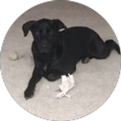 Profile photo of Brooke Corbin