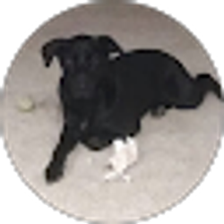 Profile photo of Brooke Corbin