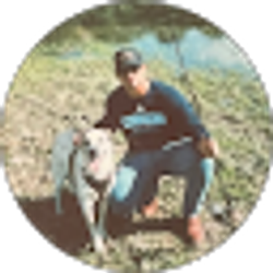 Profile photo of Brendan O’Hara