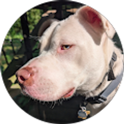 Profile photo of Mandi Gardiner