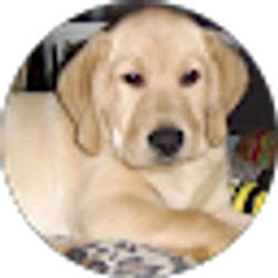 Profile photo of Lisa Milecki