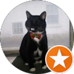 Profile photo of Antonio Mendiola