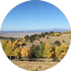 Profile photo of Polly Moles