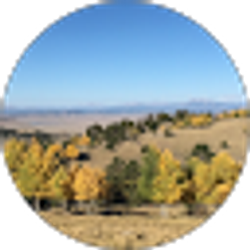 Profile photo of Polly Moles