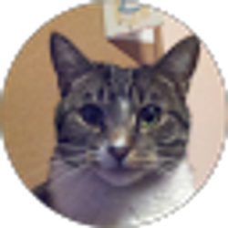 Profile photo of Don Pinkerton (Pinky)