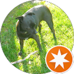 Profile photo of Dave M