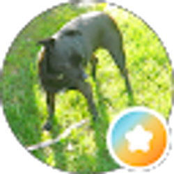 Profile photo of Dave M
