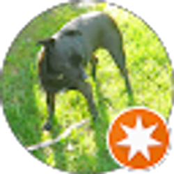 Profile photo of Dave M