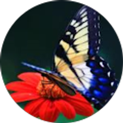 Profile photo of Bridgette Ross