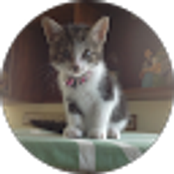 Profile photo of Kim Fleagle