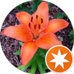 Profile photo of Emily M