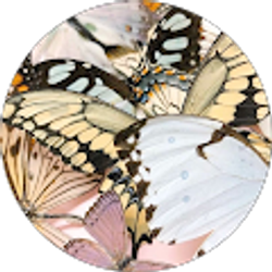 Profile photo of Alexa Mendoza