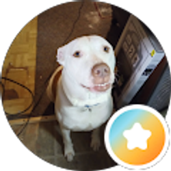 Profile photo of Angellene Miller