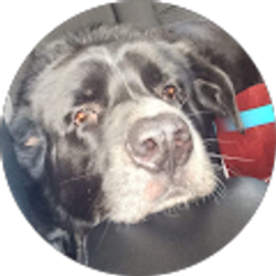 Profile photo of Kaden Mendez