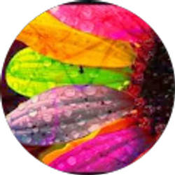 Profile photo of Victoria Kincaid