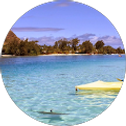 Profile photo of syeda mahwish