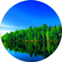 Profile photo of Anthony Acton