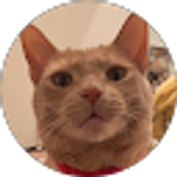 Profile photo of Sophia LaSalle