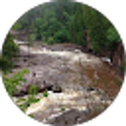 Profile photo of Joann Kiley