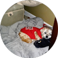 Profile photo of DEBBIE Griswell