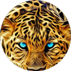 Profile photo of A M