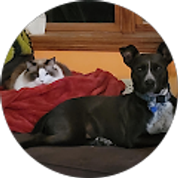 Profile photo of Mandy Shelton