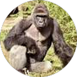 Profile photo of Brian Klee