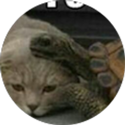 Profile photo of Angela None